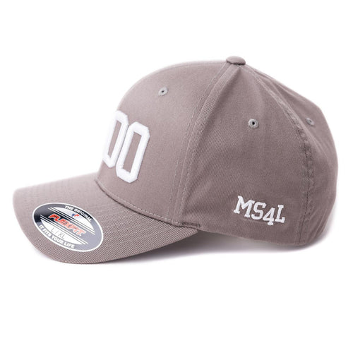 4400 x MS4L Cap (Flexfit - Grau)