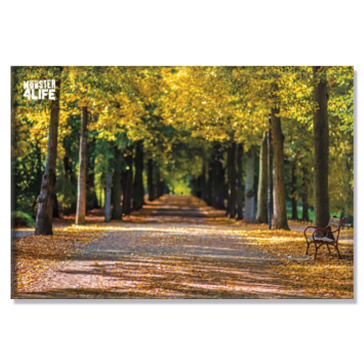 Kühlschrankmagnet - Promenade - Münster